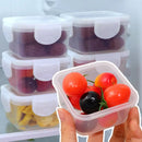 Recipientes Herméticos para Salsas x5 — 150ml Transparentes PP5