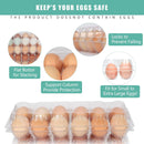 Cajas de Huevos Transparentes x60 — Capacidad 12 Huevos c/u