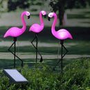 Luces Solares Flamenco (Kit 3) | LED Fucsia para Jardín sin Cable