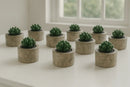 Pack 10 Macetitas Cerámica 7x7cm con Suculenta | Efecto Marmolado