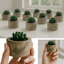 Pack 10 Macetitas Cerámica 7x7cm con Suculenta | Efecto Marmolado