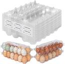 Cajas de Huevos Transparentes x60 — Capacidad 12 Huevos c/u