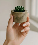 Pack 10 Macetitas Cerámica 7x7cm con Suculenta | Efecto Marmolado
